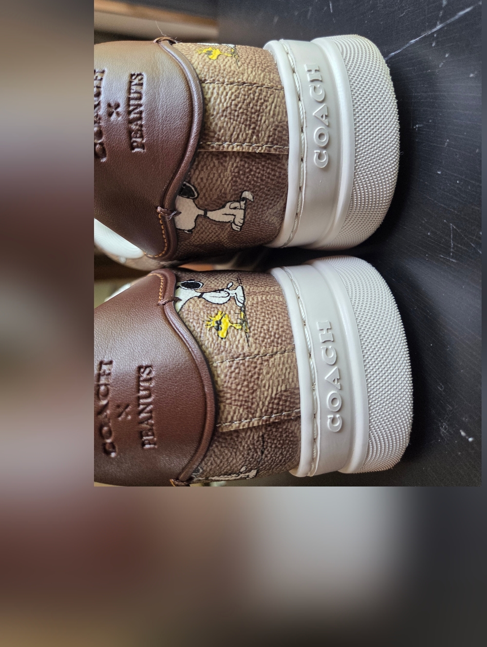 Coach × Peanuts Shoes - Picture 11 of 16